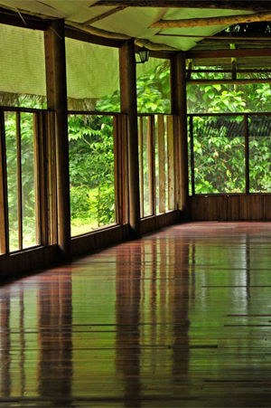 yoga-studio